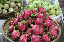 Pitaya Fruit du dragon