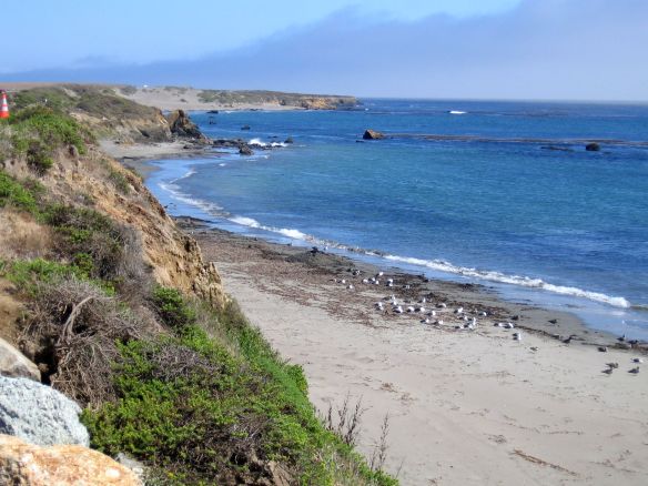 2005 Californie côte pacifique (17)