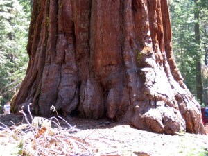 2005 Californie Yosemite (31)