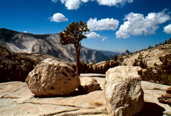 2005_californie_ YosemiteNP SC (45)