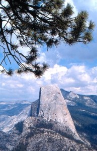 californie 2005 fevrier 2009 0010002