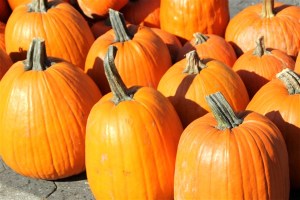 2011octobre_USA_NewYork_ (344)