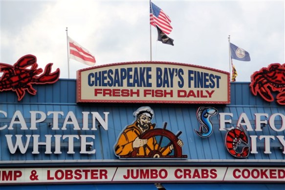 2011octobre_USA_WashingtonDC_ (125)