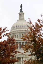 2011octobre_USA_WashingtonDC_ (13)