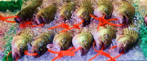 Copie de 2011octobre_USA_WashingtonDC_ (117)