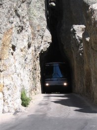 2009_USA_Custer (44)