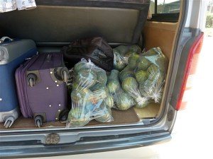 14_Chiang_Rai_05_enRoute (22)