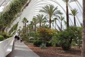 Valencia_cite_arts_sciences (336)